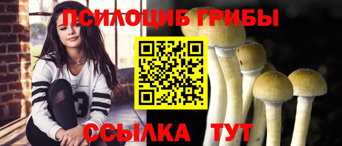 сколько стоит  Вход с VPN  Нижнекамск  Псилоцибиновые грибы GOLDEN TEACHER 